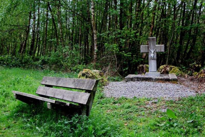 Fichier:IMG 5577.71.jpg