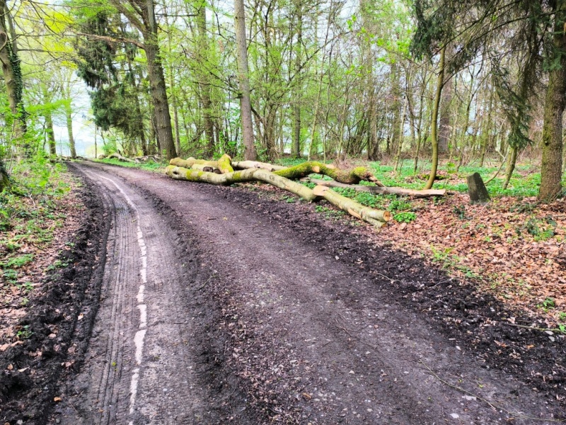 Fichier:Li Voye dè Leu.jpg