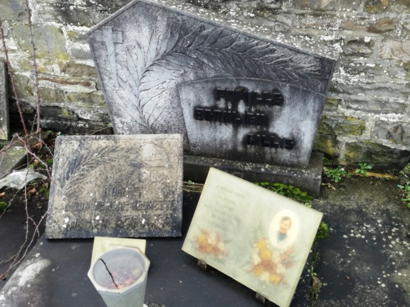 Fichier:Beaulieu-Gilis NC59.jpg