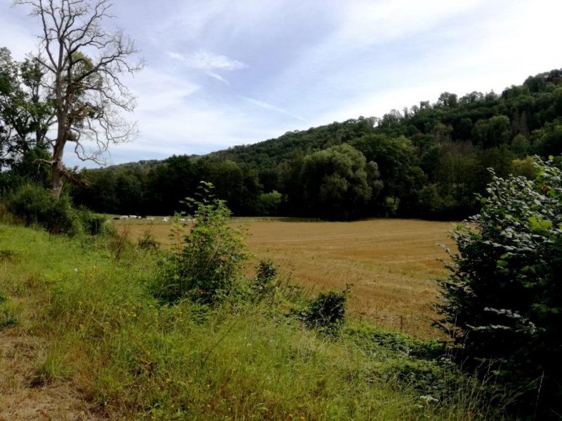 Fichier:IMG S0005.71.jpg