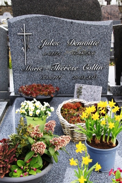 Fichier:Demoitié-Collin NC338.JPG