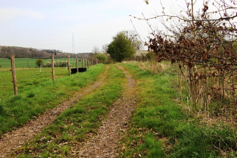 Fichier:IMG 7075.71.JPG