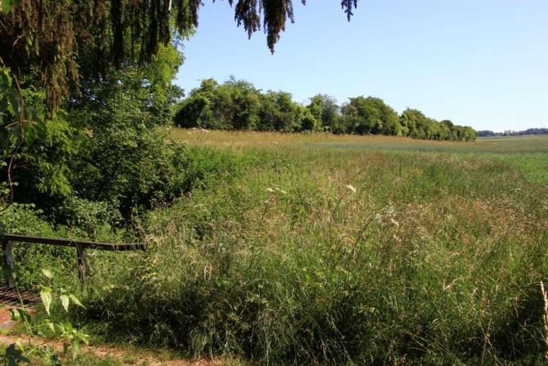 Fichier:IMG 7390.71.JPG