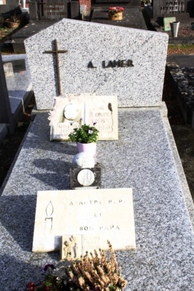 Fichier:Lamer-Lamer NC497.JPG