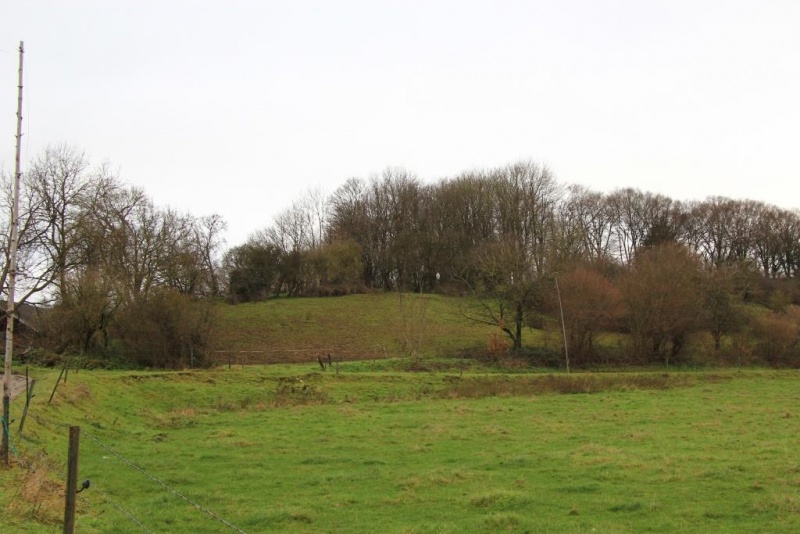 Fichier:IMG 3697.71.jpg