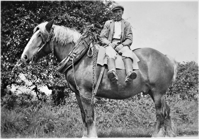 Fichier:Sprumont Arthur.JPG