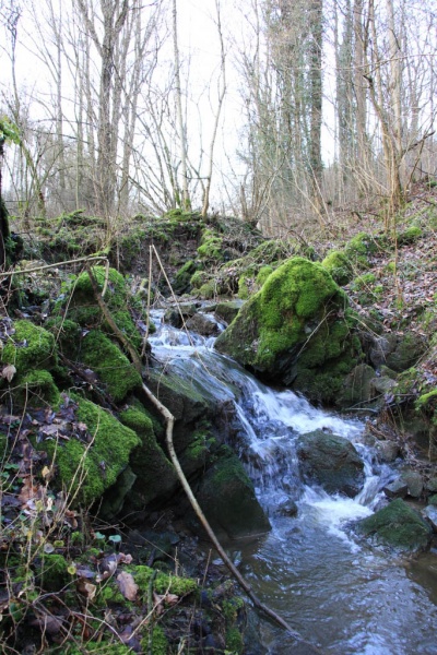 Fichier:IMG 3908.71.jpg