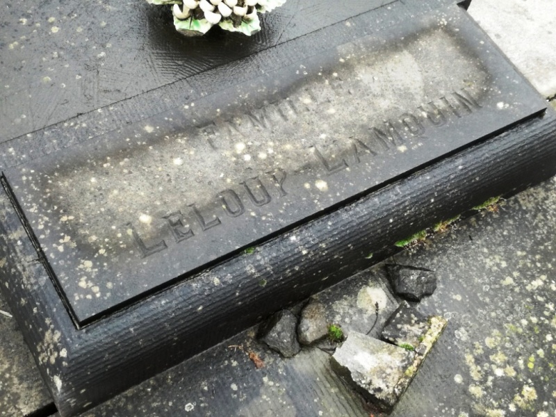 Fichier:Leloup-Lamquin NC23.jpg