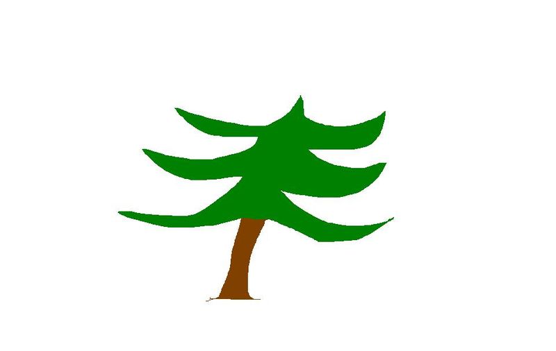 Fichier:Dessin sapin.JPG