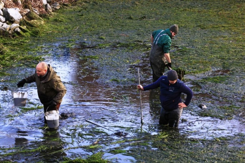 Fichier:Etang Ellemelle 11.JPG