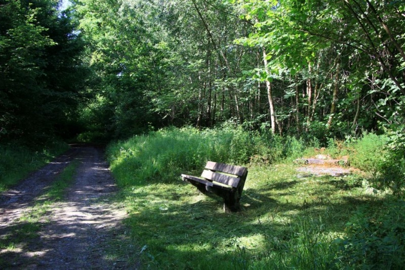 Fichier:IMG 7324.71.JPG