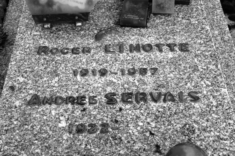 Fichier:Linotte-Servais NC496.JPG