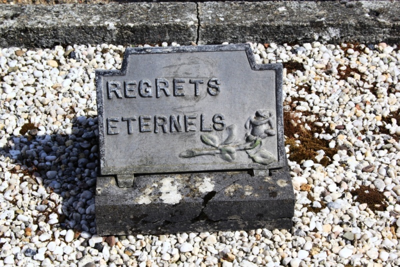 Fichier:Rouxhe-Legros NC550.JPG