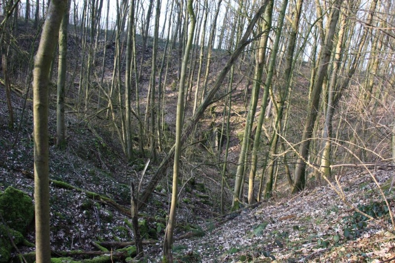 Fichier:IMG 4027.71.jpg