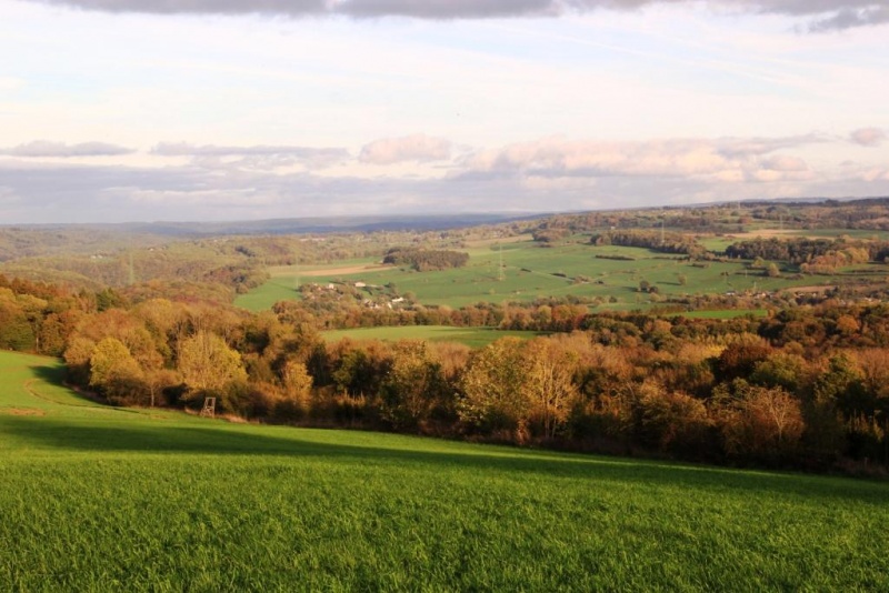 Fichier:IMG 7479.02.71.JPG