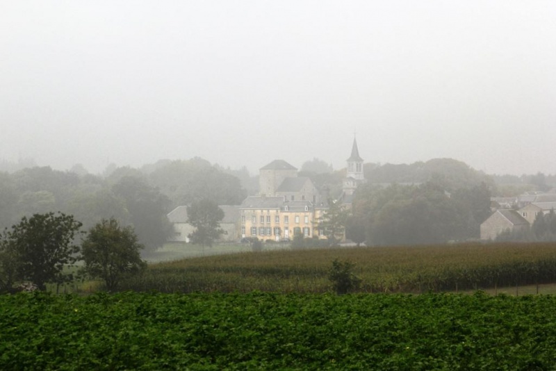 Fichier:IMG 1650.71.jpg