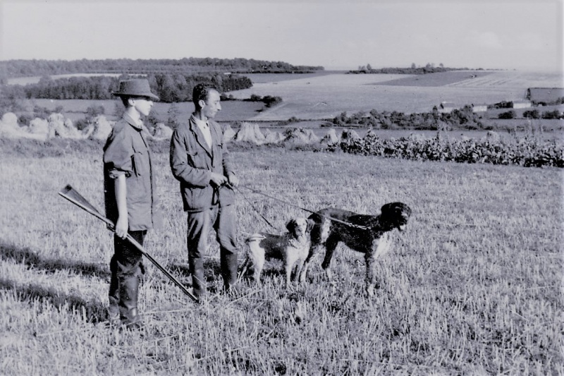 Fichier:Ell chasse 04.jpg