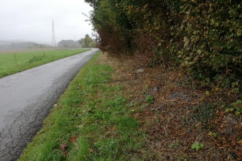 Fichier:IMG 20181002 115051.71.jpg