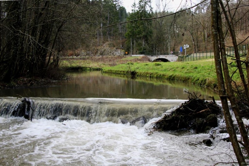 Fichier:IMG 3897.71.jpg