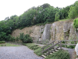 Photo du front de carrière qui montre le reste du récif corallien.