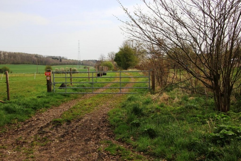 Fichier:IMG 7074.71.JPG