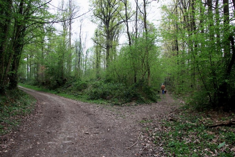 Fichier:IMG 5585.71.jpg