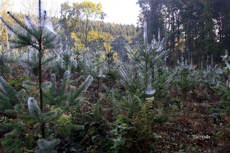 Fichier:IMG 1760.92.71.jpg