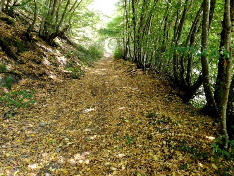 Fichier:IMG 20200816 121521.71.jpg