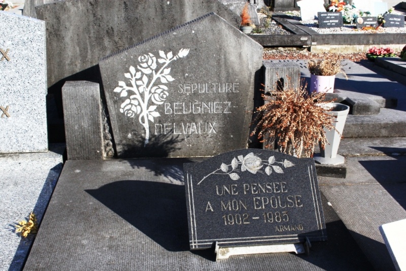 Fichier:Beugniez-Delvaux NC174.JPG