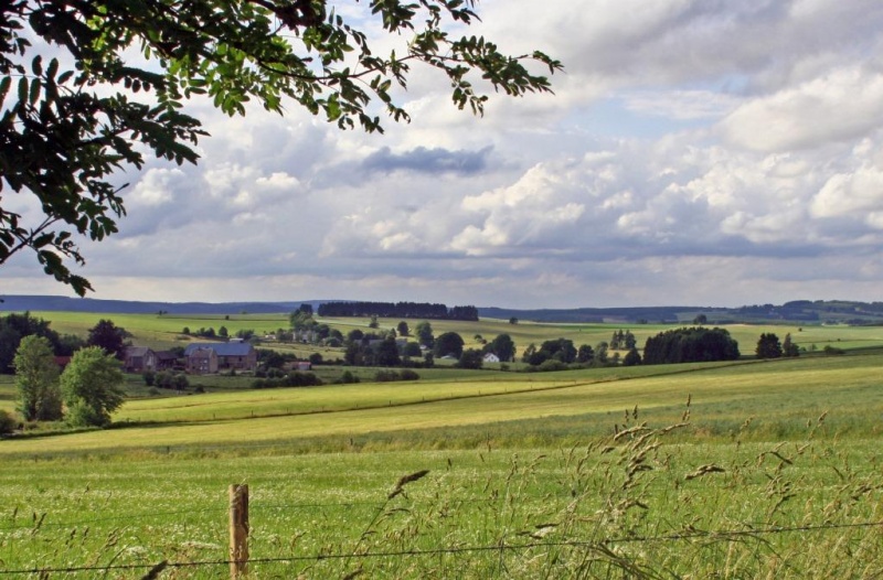 Fichier:IMG 2299.71.jpg