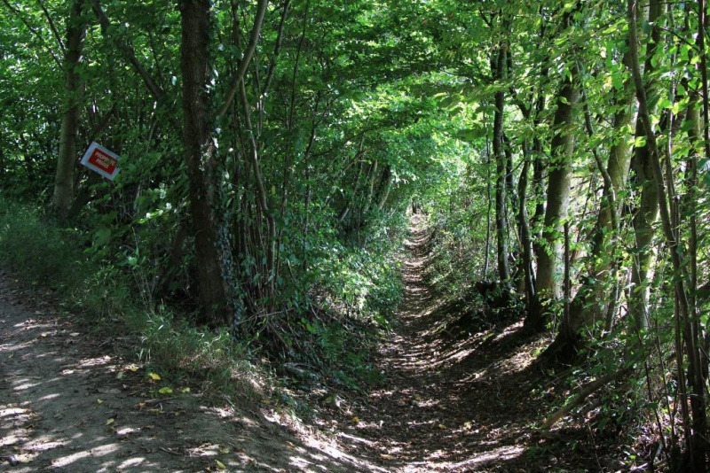 Fichier:IMG 5410.71.jpg