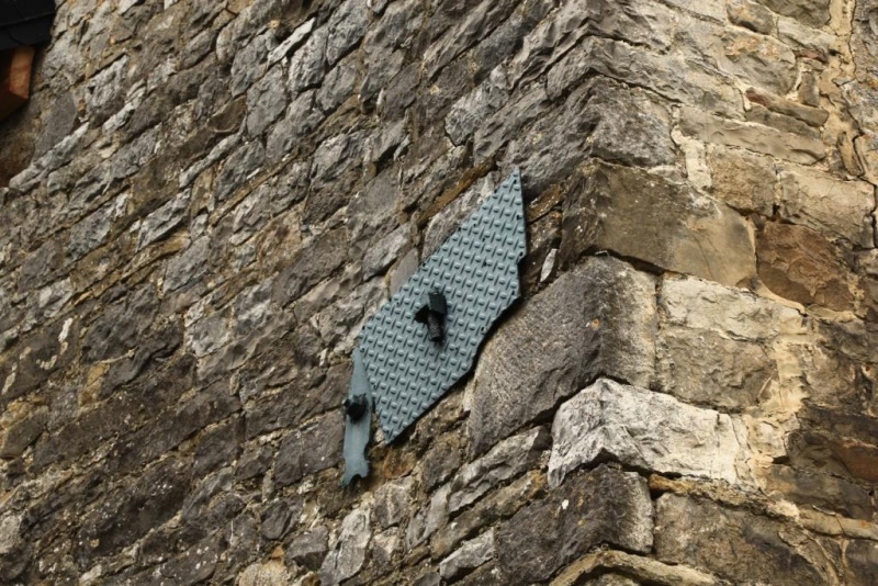 Fichier:Temme 51.71.jpg