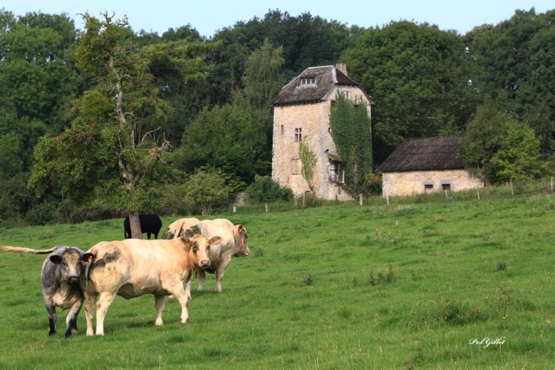 Fichier:IMG 3390.92.71.jpg