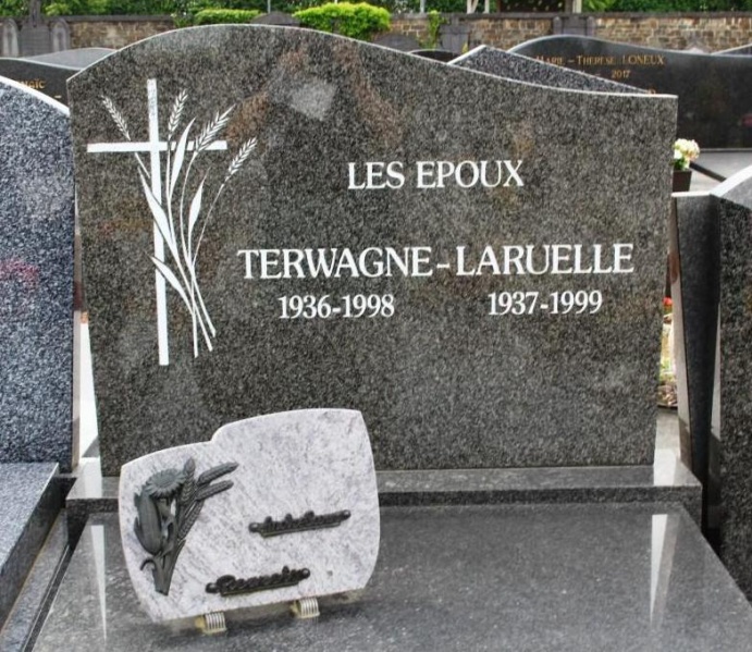 Fichier:Terwagne Laruelle NC350.JPG